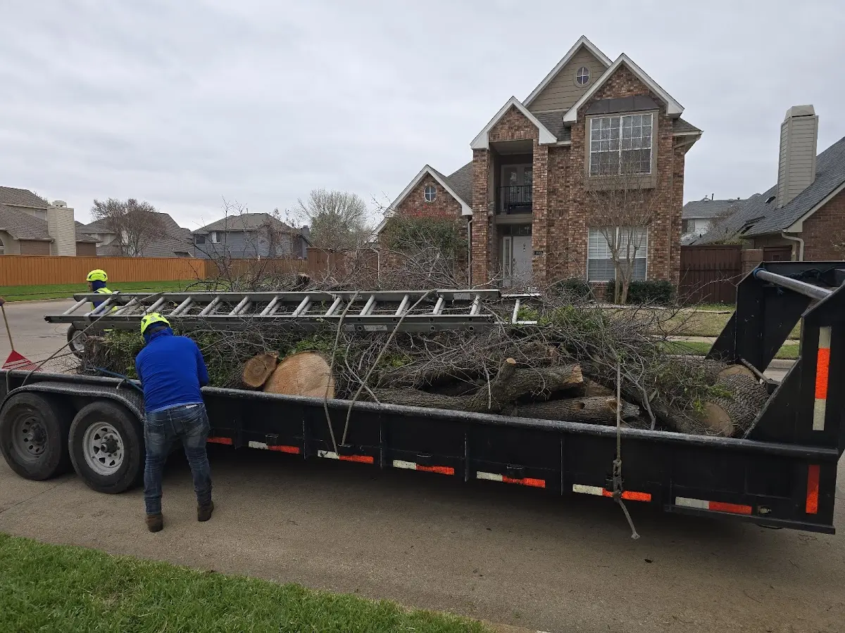 Expert Tree Fertilization with proper safety equipment in Norco